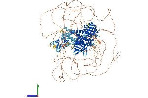 Protein Structure (PS) image for FYVE, RhoGEF and PH Domain Containing 5 (FGD5) (AA 1-1219) protein (His tag) (ABIN7564265)