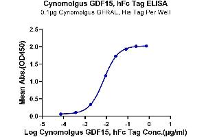 ELISA image for Growth Differentiation Factor 15 (GDF15) (AA 197-308) protein (Fc Tag) (ABIN7274719)