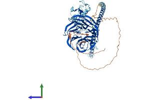 AlphaFold protein structure predicition of Human Recombinant TRAF7 Protein, UniprotID Q6Q0C0