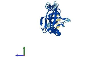 AlphaFold protein structure predicition of Human Recombinant SEC11A Protein, UniprotID P67812 (SEC11A Protein (AA 1-179) (His tag))