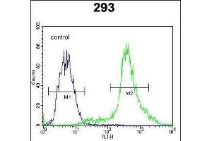 CTNNB1 Antibody (N-term) flow cytometric analysis of 293 cells (right histogram) compared to a negative control cell (left histogram).