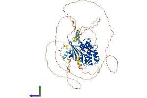 AlphaFold protein structure predicition of Human Recombinant DCLK3 Protein, UniprotID Q9C098 (DCLK3 Protein (AA 1-648) (His tag))