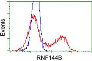 HEK293T cells transfected with either RC209302 overexpress plasmid(Red) or empty vector control plasmid(Blue) were immunostained by anti-RNF144B antibody(TA500698), and then analyzed by flow cytometry. (RNF144B 抗体  (AA 1-256))