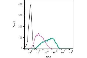 Cell surface detection of ASCT2 by direct flow cytometry in live intact human  megakaryoblastic leukemia cells: + Rabbit IgG Isotype Control-PE (ABIN7582046).