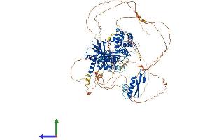 AlphaFold protein structure predicition of Mouse Recombinant Ilf3 Protein, UniprotID Q9Z1X4