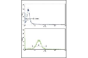 Flow cytometric analysis of MDA-231 cells using EPN3 Antibody (N-term)(bottom histogram) compared to a negative control cell (top histogram). (EPN3 抗体  (N-Term))