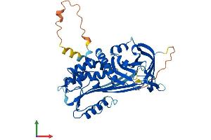 AlphaFold protein structure predicition of Human Recombinant SERPINB2 Protein, UniprotID P05120