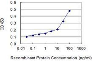 Detection limit for recombinant GST tagged CCL28 is 1 ng/ml as a capture antibody. (CCL28 抗体  (AA 24-127))