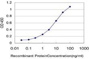 Detection limit for recombinant GST tagged NKX3-1 is approximately 0. (NKX3-1 抗体  (AA 100-209))
