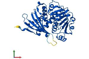 Protein Structure (PS) image for Crystallin, mu (CRYM) (AA 1-314) protein (His tag) (ABIN7546840)