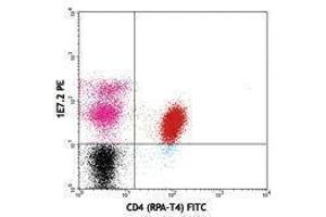 Flow Cytometry (FACS) image for anti-zeta-Chain (TCR) Associated Protein Kinase 70kDa (ZAP70) antibody (PE) (ABIN2663950) (ZAP70 抗体  (PE))