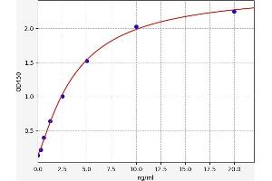 Typical standard curve (LAMTOR1 ELISA 试剂盒)