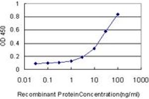 Detection limit for recombinant GST tagged DNASE1L1 is approximately 0. (DNASEX 抗体  (AA 18-302))