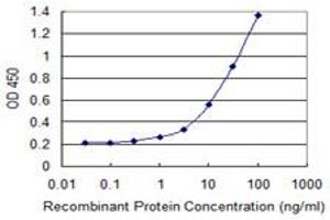 Detection limit for recombinant GST tagged SNPH is 0. (Syntaphilin 抗体  (AA 251-348))