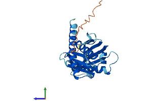 AlphaFold protein structure predicition of Mouse Recombinant Exosc5 Protein, UniprotID Q9CRA8