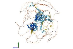 AlphaFold protein structure predicition of Human Recombinant EIF4G3 Protein, UniprotID O43432