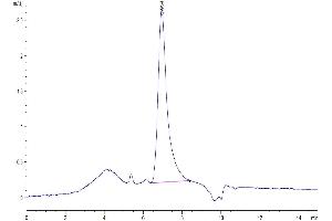 The purity of Biotinylated Human VEGF165 is greater than 95 % as determined by SEC-HPLC.