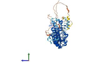 Protein Structure (PS) image for Ankyrin Repeat and SOCS Box-Containing 2 (ASB2) (AA 1-634) protein (His tag) (ABIN7559437)