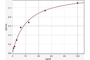 Typical standard curve (NAMPT ELISA 试剂盒)