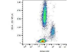 Flow cytometry analysis (surface staining) of human peripheral blood cells with anti-CD86 (BU63) APC.