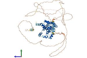 Protein Structure (PS) image for Sterile alpha Motif Domain Containing 4A (SAMD4A) (AA 1-718) protein (His tag) (ABIN7546103)