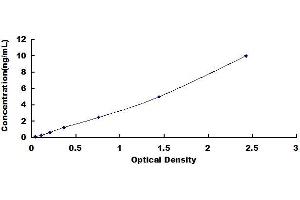 Typical standard curve (Kallikrein 2 ELISA 试剂盒)