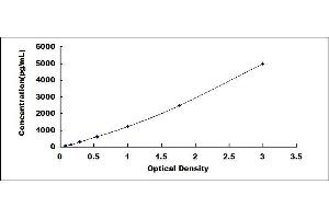 Typical standard curve (DPYSL2 ELISA 试剂盒)
