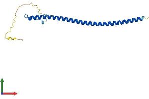 AlphaFold protein structure predicition of Mouse Recombinant Map3k7cl Protein, UniprotID P58500