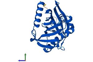 Protein Structure (PS) image for StAR-Related Lipid Transfer (START) Domain Containing 4 (STARD4) (AA 1-205) protein (His tag) (ABIN7546477)
