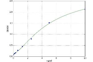 Signal Peptide, CUB Domain, EGF-Like 2 (SCUBE2) ELISA Kit