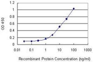 Detection limit for recombinant GST tagged CSNK1D is 0. (Casein Kinase 1 delta 抗体  (AA 301-415))