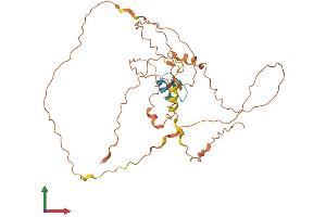 AlphaFold protein structure predicition of Human Recombinant ZNF843 Protein, UniprotID Q8N446