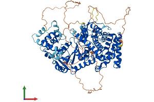 Protein Structure (PS) image for Family with Sequence Similarity 120B (FAM120B) (AA 1-786) protein (His tag) (ABIN7558101)