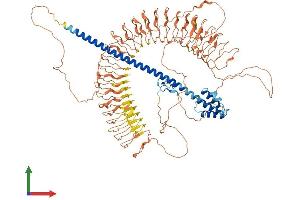 AlphaFold protein structure predicition of Human Recombinant TEX13C Protein, UniprotID A0A0J9YWL9 (TEX13C Protein (AA 1-993) (His tag))