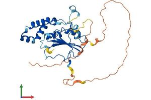 Protein Structure (PS) image for Methyltransferase Like 8 (METTL8) (AA 1-281) protein (His tag) (ABIN7561961)