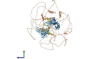 AlphaFold protein structure predicition of Human Recombinant MYPN Protein, UniprotID Q86TC9