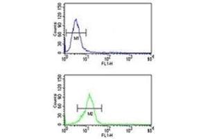 Olig3 antibody flow cytometric analysis of U251 cells (bottom histogram) compared to a negative control (top histogram). (OLIG3 抗体  (AA 74-100))