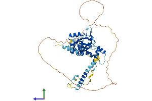 Protein Structure (PS) image for Microspherule Protein 1 (MCRS1) (AA 1-462) protein (His tag) (ABIN7549347)