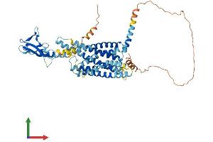 Protein Structure (PS) image for Glucagon-Like Peptide 2 Receptor (GLP2R) (AA 1-512) protein (His tag) (ABIN7557466)