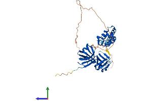 Protein Structure (PS) image for Myeloid Cell Nuclear Differentiation Antigen (MNDA) (AA 1-407) protein (His tag) (ABIN7549470)