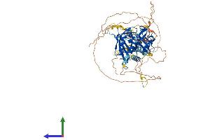 Protein Structure (PS) image for Aryl Hydrocarbon Receptor Nuclear Translocator-Like (ARNTL) (AA 1-626) protein (His tag) (ABIN7552875)