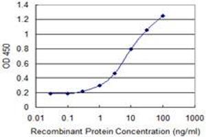 Detection limit for recombinant GST tagged CYLD is 0. (CYLD 抗体  (AA 854-953))