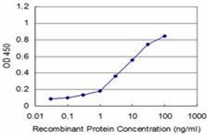 Detection limit for recombinant GST tagged RAX is approximately 0. (RAX 抗体  (AA 104-206))