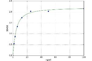 A typical standard curve (BMX ELISA 试剂盒)