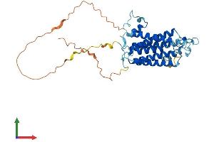 Protein Structure (PS) image for Sphingomyelin Synthase 2 (SGMS2) (AA 1-365) protein (His tag) (ABIN7560980)