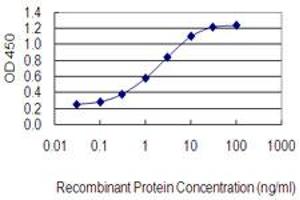 Detection limit for recombinant GST tagged CASP4 is 0. (Caspase 4 抗体  (AA 1-377))