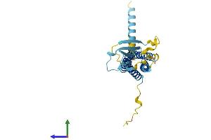 Protein Structure (PS) image for Calcium Channel, Voltage-Dependent, gamma Subunit 6 (CACNG6) (AA 1-260) protein (His tag) (ABIN7559937)