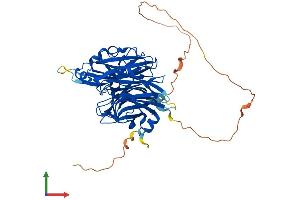 Protein Structure (PS) image for Sialidase 4 (NEU4) (AA 1-484) protein (His tag) (ABIN7549696)