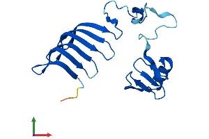 AlphaFold protein structure predicition of Human Recombinant MORN5 Protein, UniprotID Q5VZ52