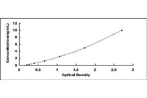 Typical standard curve (OAS3 ELISA 试剂盒)